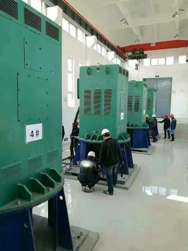 临淄某污水处理厂使用我厂的立式高压电机安装现场